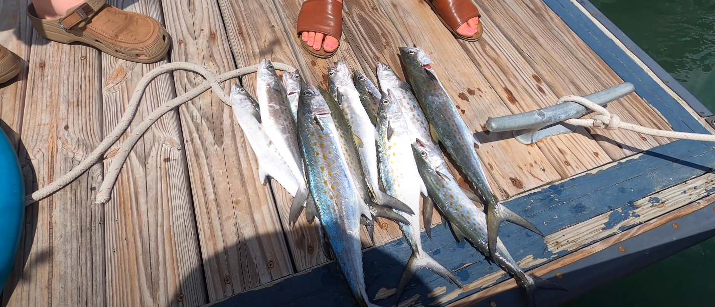 Spanish Mackerel Fishing From Wrightsville Beach to Carolina Beach